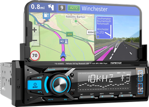 Audio para automóvil Mp3 con panel fijo de molde privado 